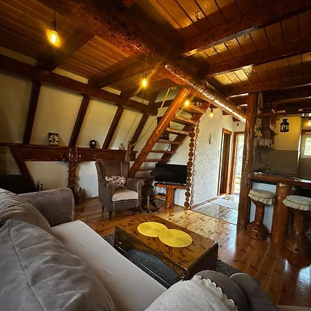 Vila Sarigora Žabljak Exteriör bild