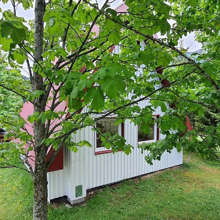 Vila Sarigora Žabljak Exteriör bild