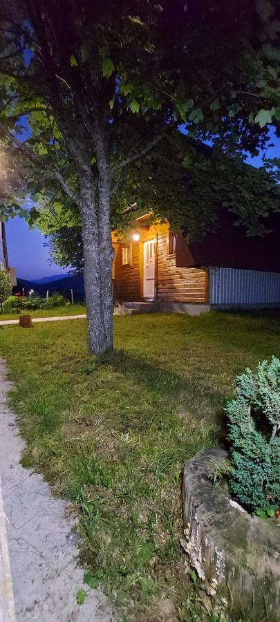 Vila Sarigora Žabljak Exteriör bild