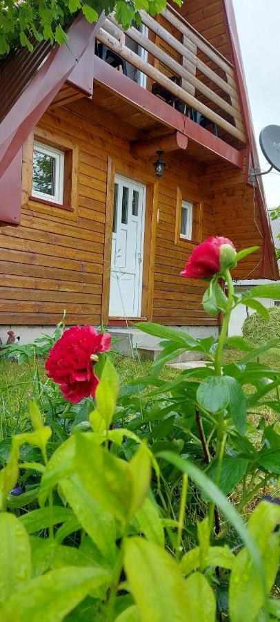 Vila Sarigora Žabljak Exteriör bild