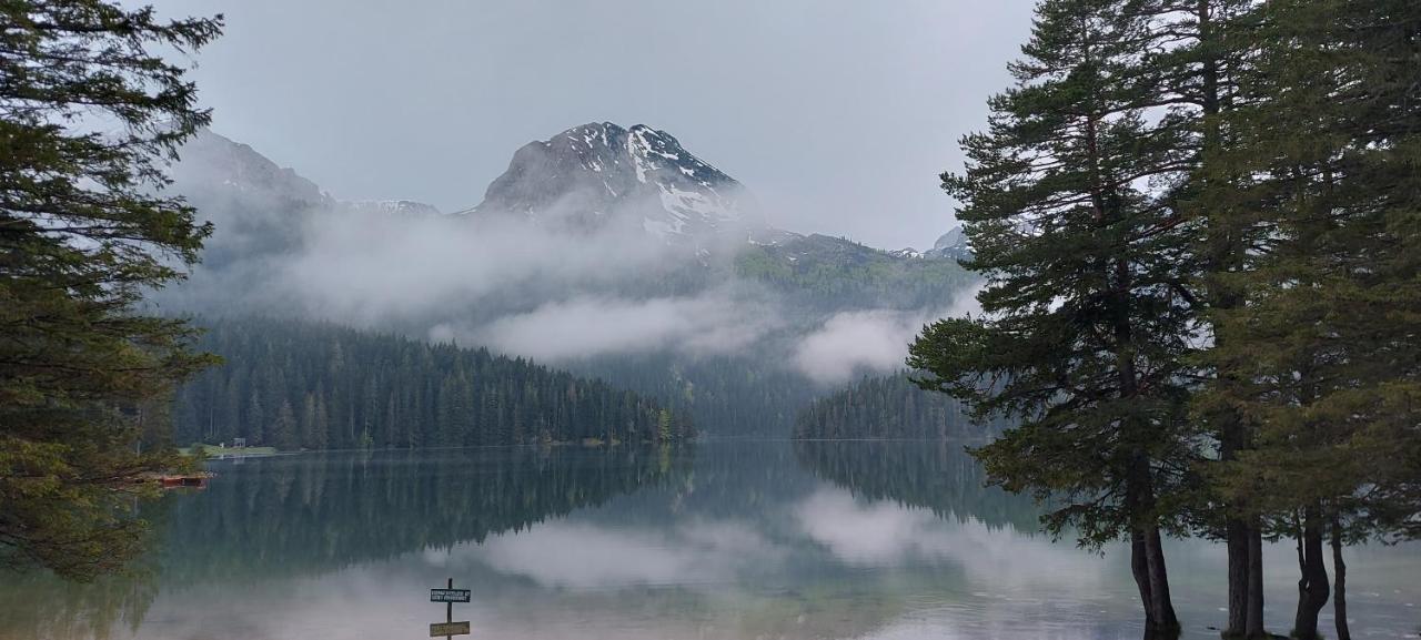 Vila Sarigora Žabljak Exteriör bild