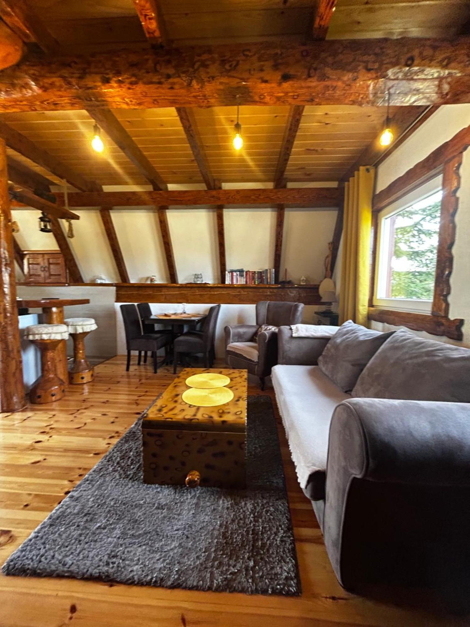 Vila Sarigora Žabljak Exteriör bild